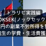 NOKSEKノックセック｣で月1万円の副業不労所得を狙う！大学院生の学費・生活費獲得戦略