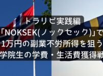 NOKSEKノックセック｣で月1万円の副業不労所得を狙う！大学院生の学費・生活費獲得戦略